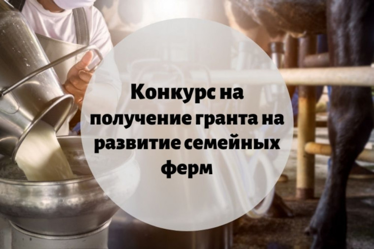 Предоставление грантов. Предоставление грантов.